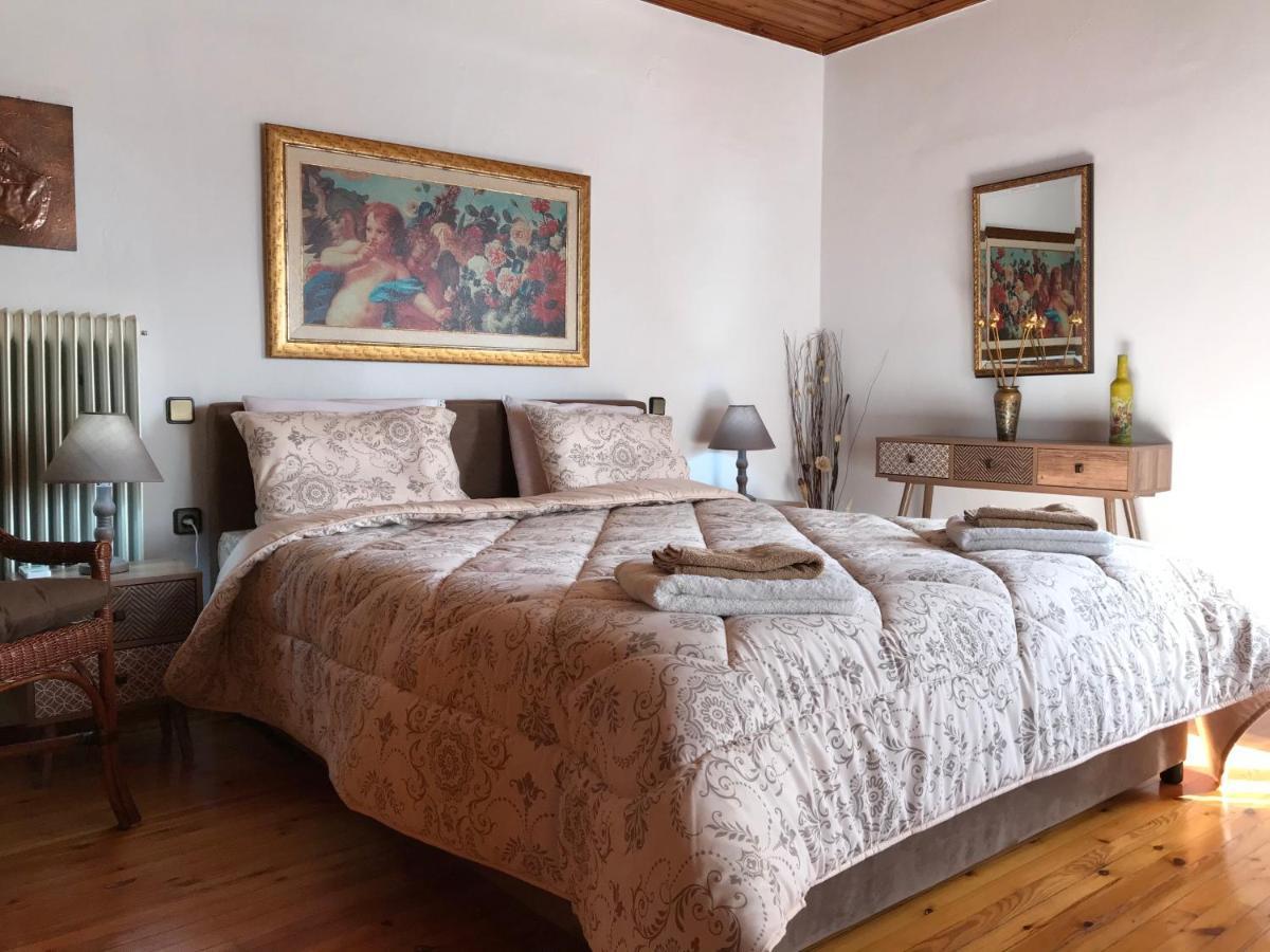 كالامباكا Sarakinas Farm House المظهر الخارجي الصورة